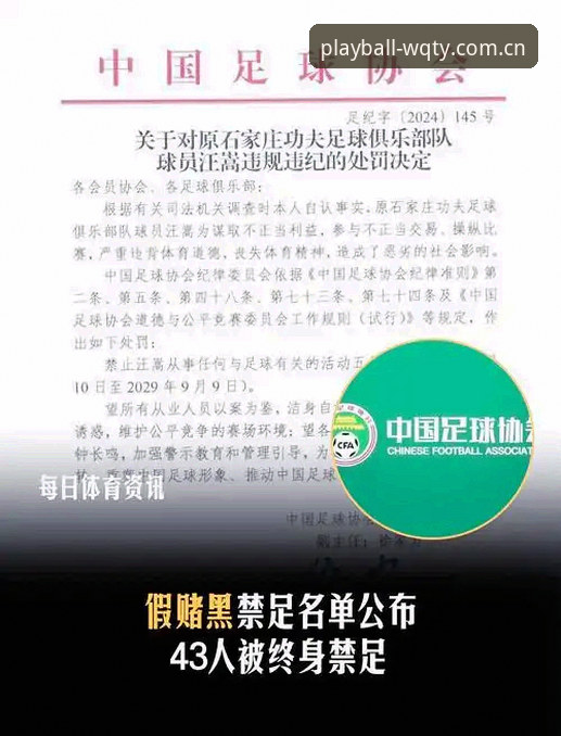 玩球体育怎么下载 玩球体育平台看中国足协禁足名单:资深用户解读行业整治完整指南